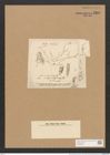 Schizonema corymbosum Ag. (de-Toni-Nr.: Genus 20, Species 1204) Zeichnungen Sammlung Grunow Nr. 2309 (NHMW-BOT-W0369432)